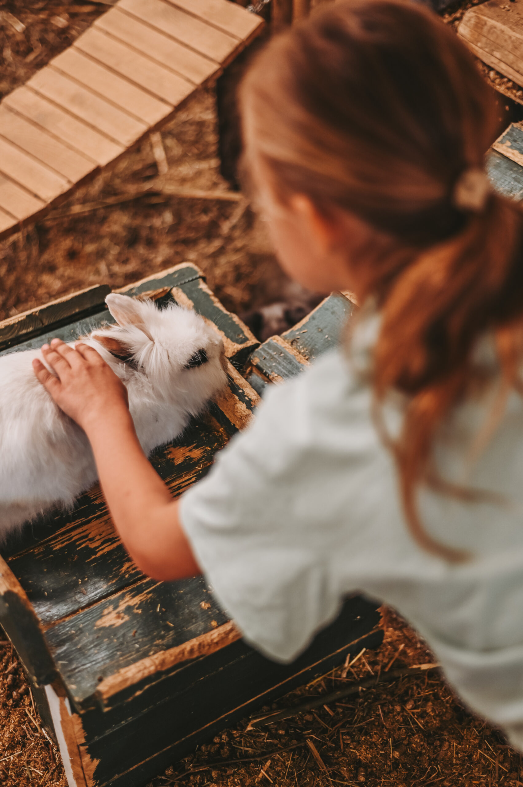 Ekskursijos 1 DSC 5858 scaled