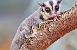 Vilnius 15 istockphoto 164110643 612x612 2 612x400 1