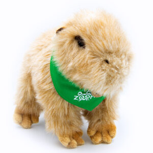 Pliušinė kapibara 30 cm