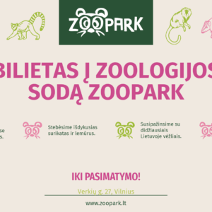 Studento ir Senjoro bilietas Vilnius