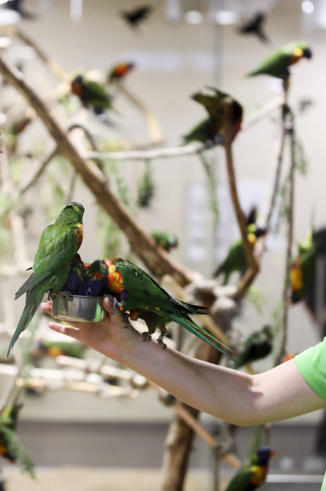 733A7039 1 scaled e1768903182168