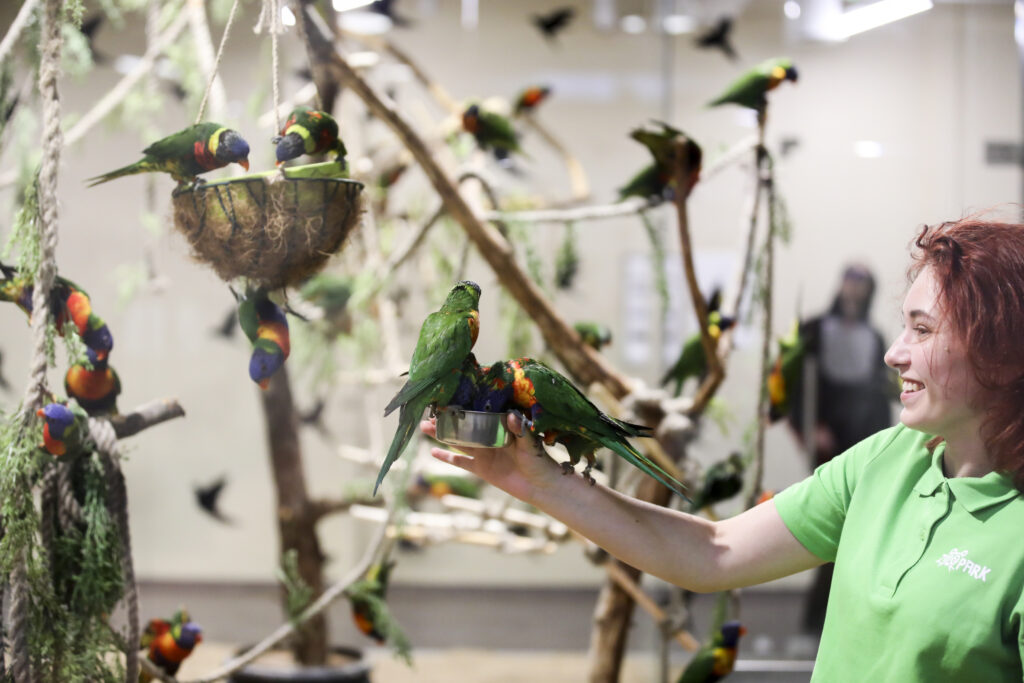 Savanorystė Zoopark 3 733A7039